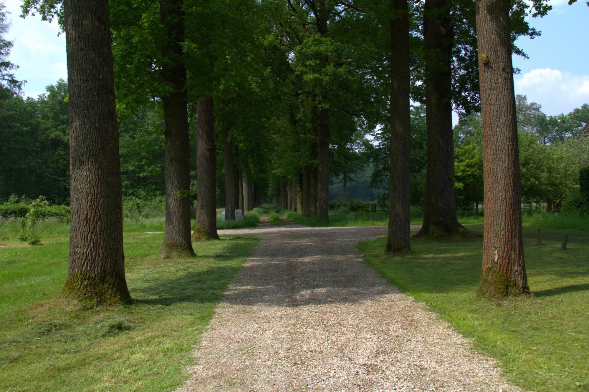 B&B Kasteel Den Tip Arendonk Exterior foto